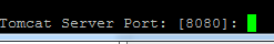 Tomcat Server Port
